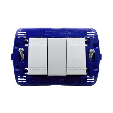 Interruptor Doble Bticino Living Light Blanco