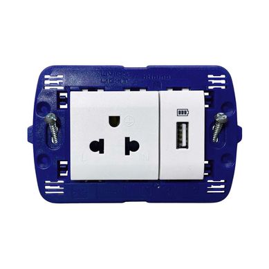 Tomacorriente Simple P/T + 1 Toma USB Living Light Blanco