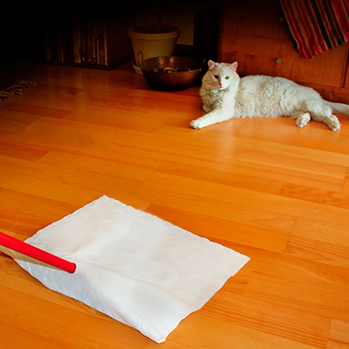 GENERICO - Paño Atrapa Polvo 50X70 Cm 12 Und