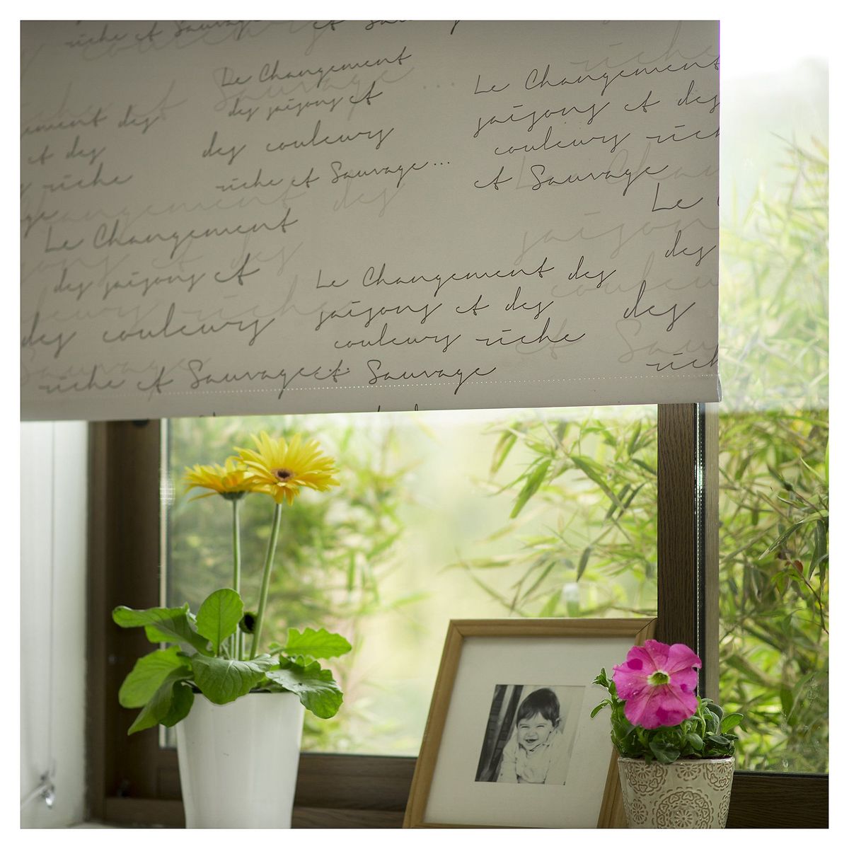 JUST HOME COLLECTION - Cortina Roller Black Out 120x165cm Letras