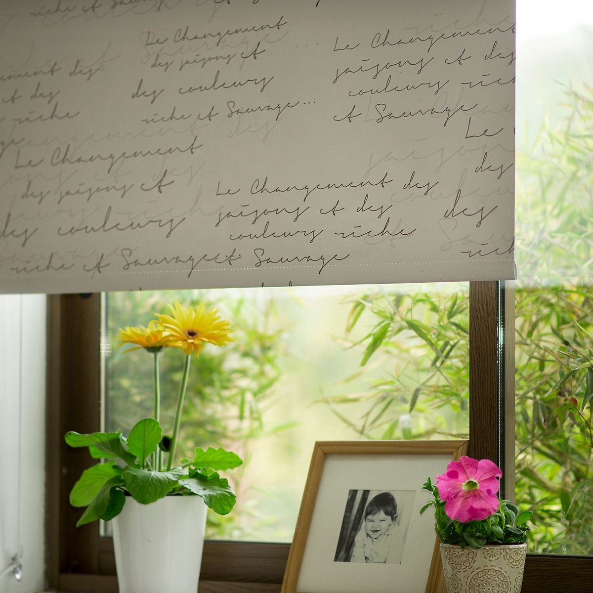 JUST HOME COLLECTION - Cortina Roller Black Out 150x250cm Letras