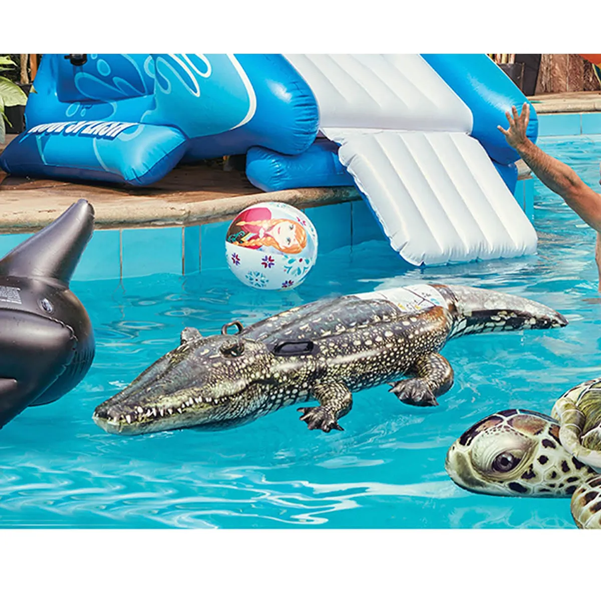 INTEX - Flotador Inflable Cocodrilo 1.70m