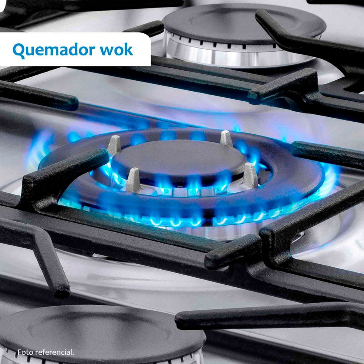 COLDEX - Cocina Coldex a Gas 5 Hornillas CX721 Inox