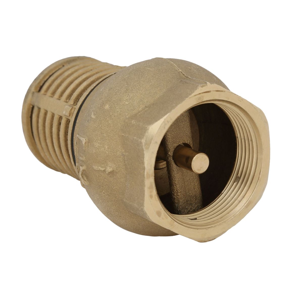 CIM - Válvula Check con Canastilla 1 1/2"