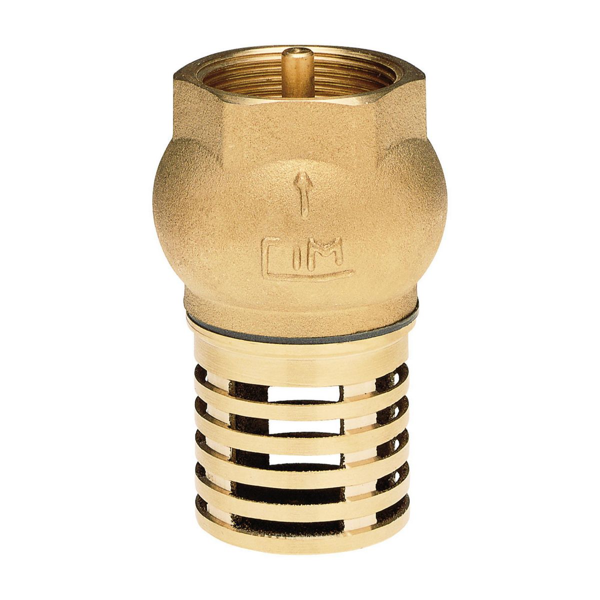 CIM - Válvula Check con Canastilla 1 1/4"