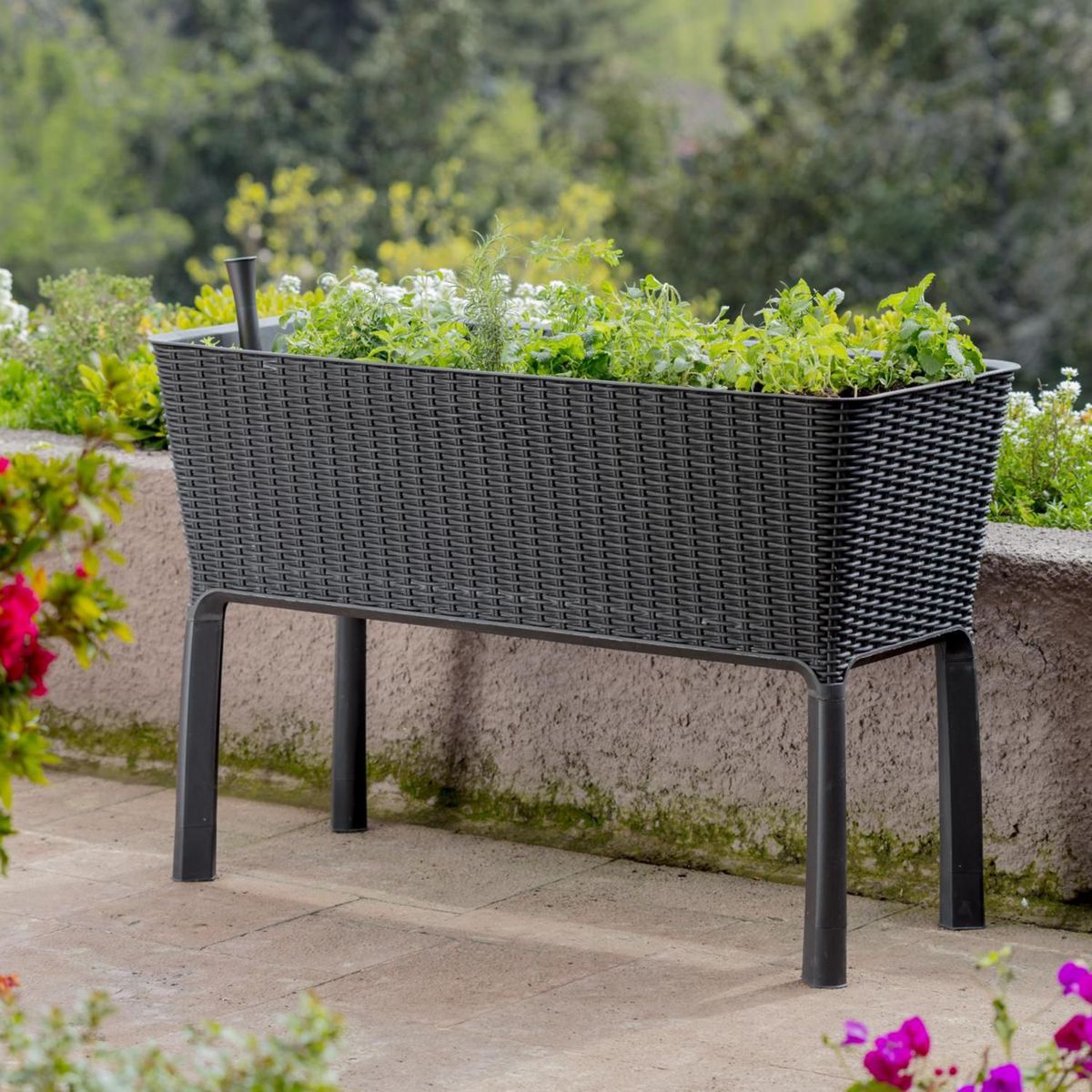 KETER - Huerto Urbano Color Café 114 x 49 x 76 cm