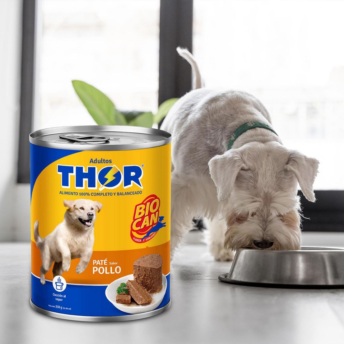 THOR - Thor Adultos Pate para Perros Lata 330 gr Sabor Pollo