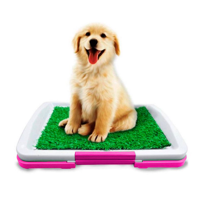 ACCECAN - Baño Pequeño para Mascota Plástico Fucsia 47x34x6cm