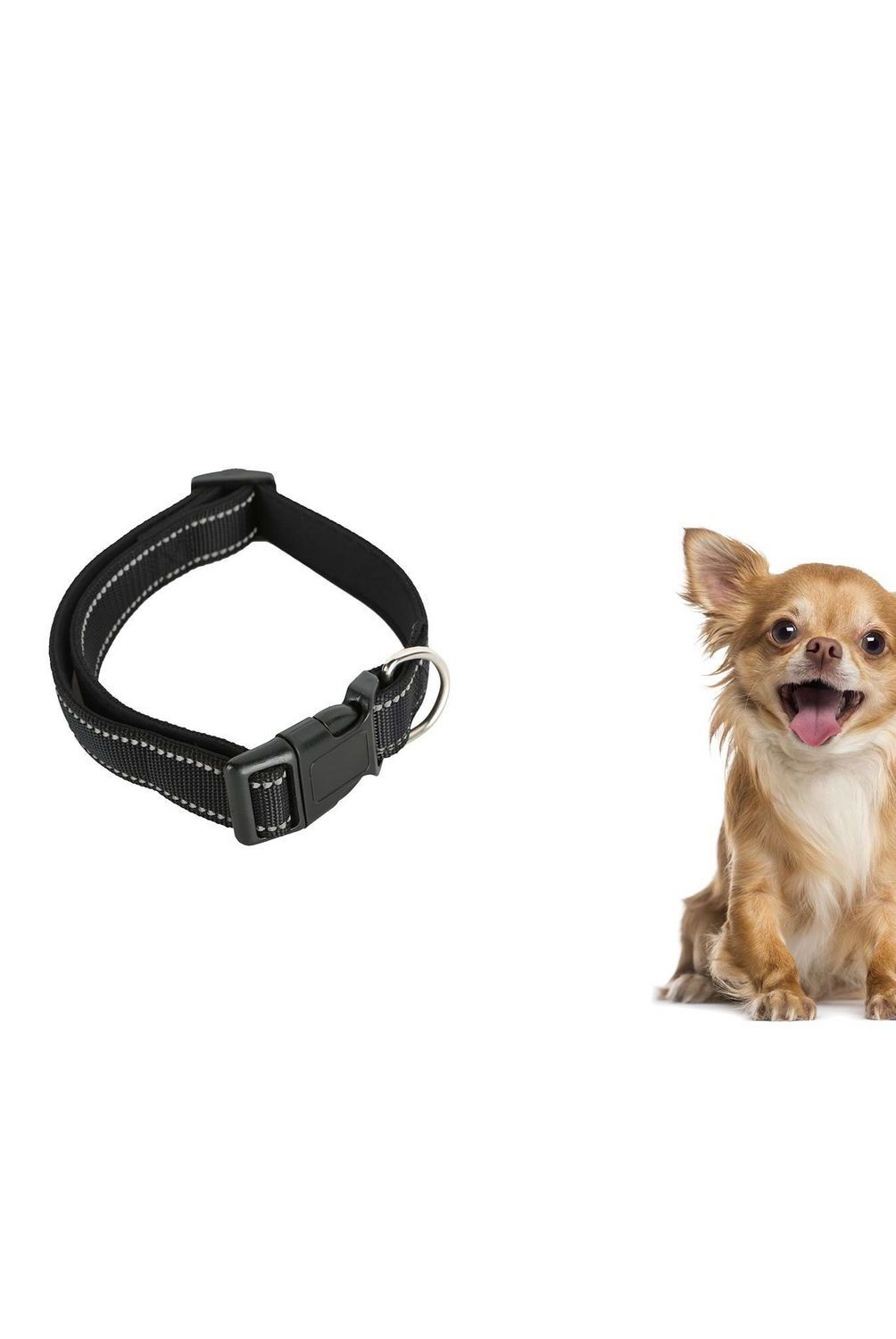 ACCECAN - Collar Importado PT 251163-4 Negro