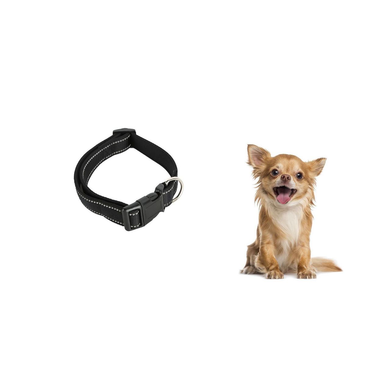 ACCECAN - Collar Importado PT 251163-4 Negro