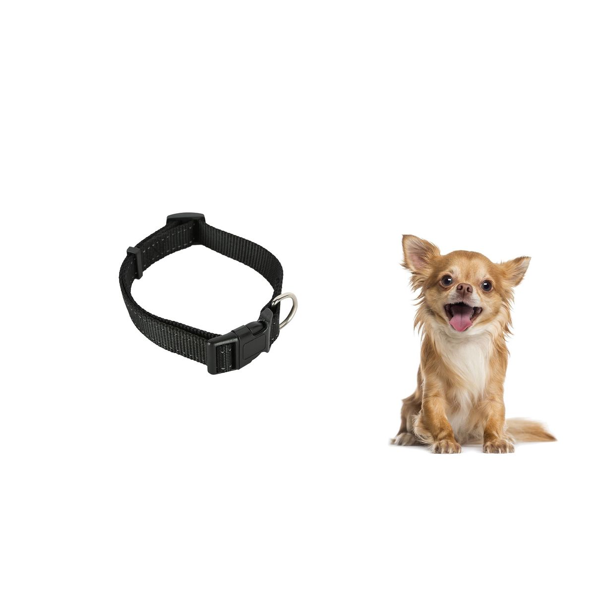 ACCECAN - Collar PT 251150-3 negro