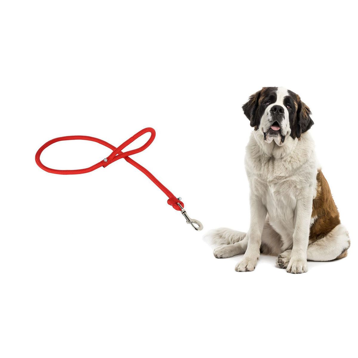 ACCECAN - Correa para Mascota Fuerte Rojo