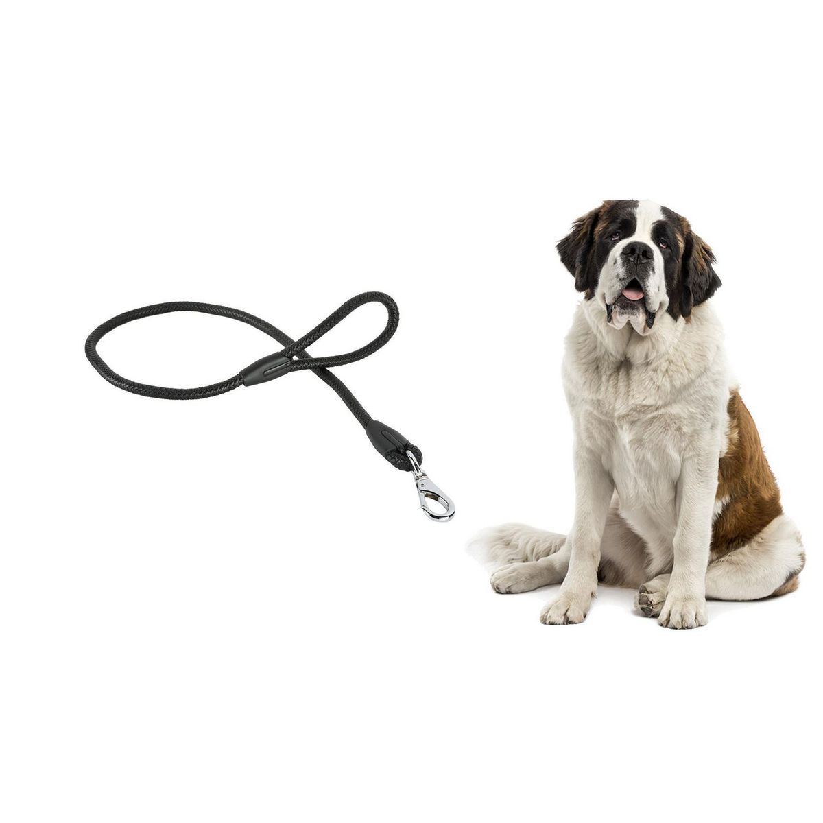 ACCECAN - Correa para mascota negro