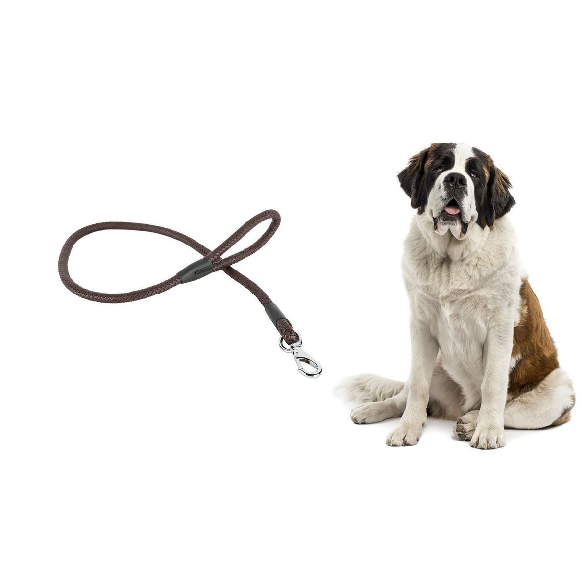 ACCECAN - Correa para mascota marrón