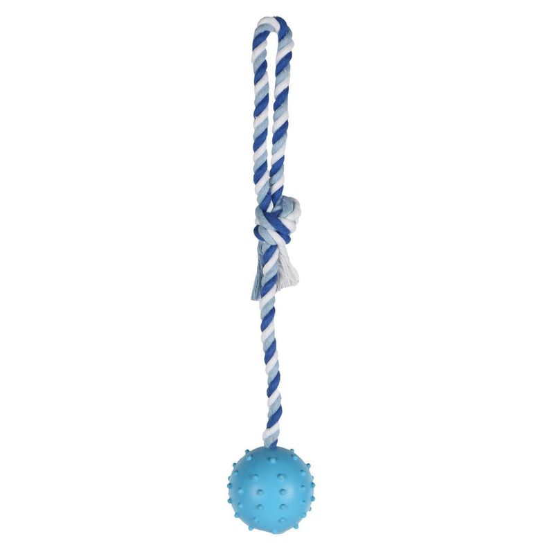 ACCECAN - Pelota de Jebe con Soga para Perro Color Celeste