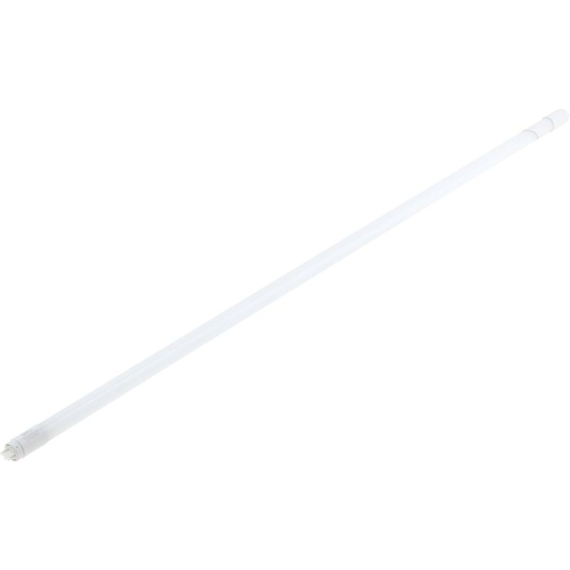 DAIRU - Tubo Fluorescente LED T8 16.5W 1600LM 4000K