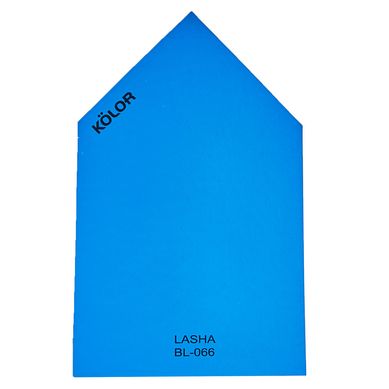 Chip Lasha BL-066