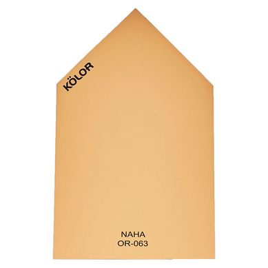 Chip Naha OR-063