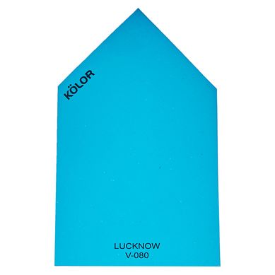 Chip Lucknow V-080