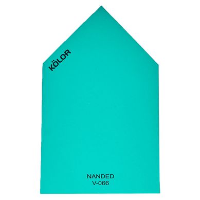 Chip Nanded V-066
