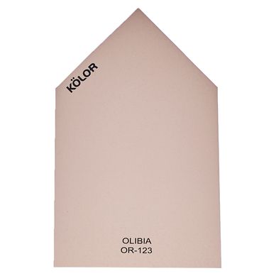 Chip Olbia OR-123