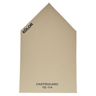 Chip Castrocaro YE-114