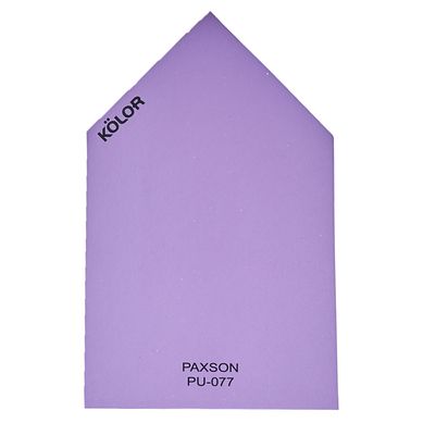 Chip Paxson PU-077