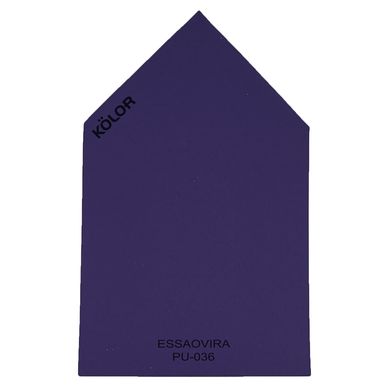 Chip Essaovira PU-036