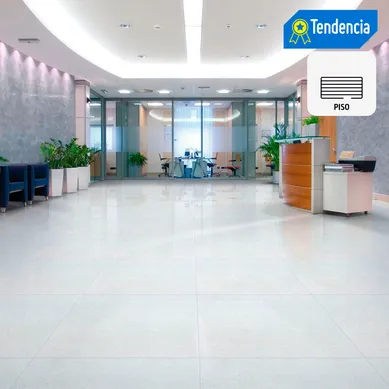 Porcelanato Gris 60x60 Lisas/Granilladas Mate 1.44 m2