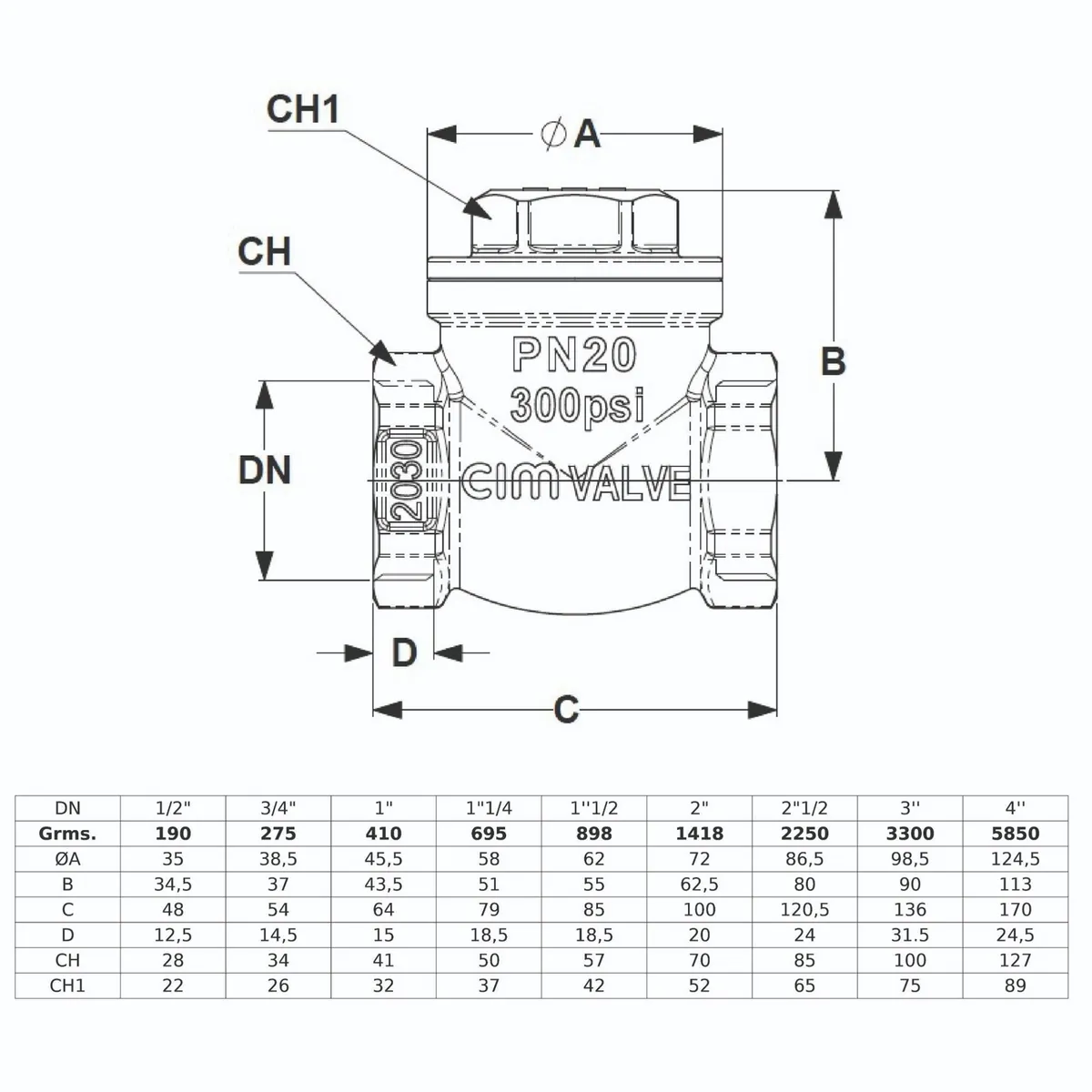 CIM - Válvula Check Horizontal 2''