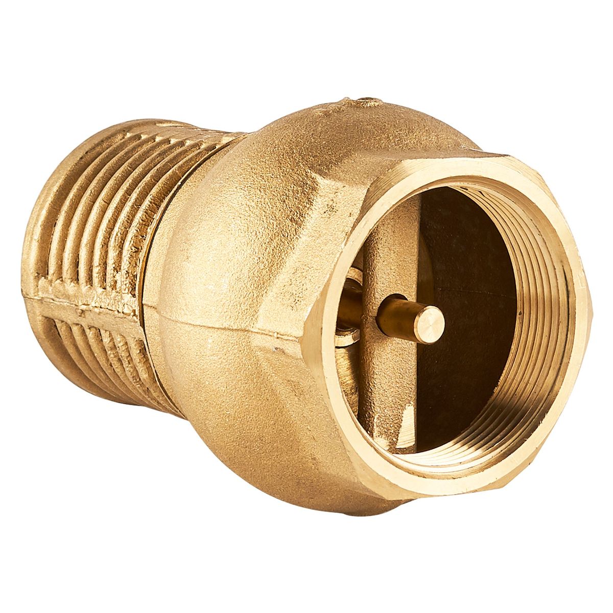 CIM - Valvula Check con Canastilla 2"