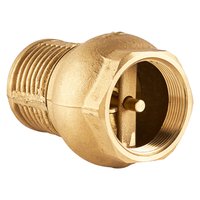 Valvula Check con Canastilla 2"
