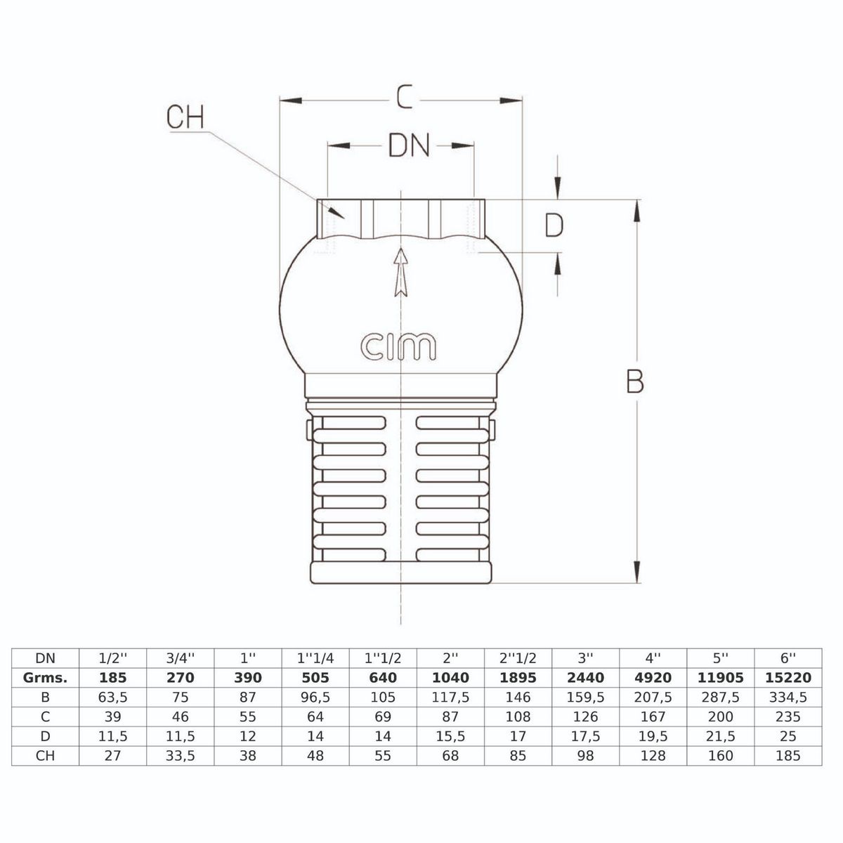 CIM - Valvula Check con Canastilla 2"