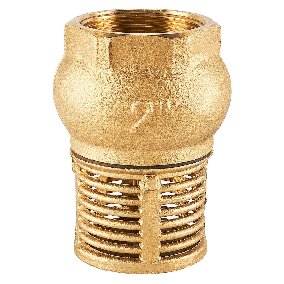 CIM - Valvula Check con Canastilla 2"