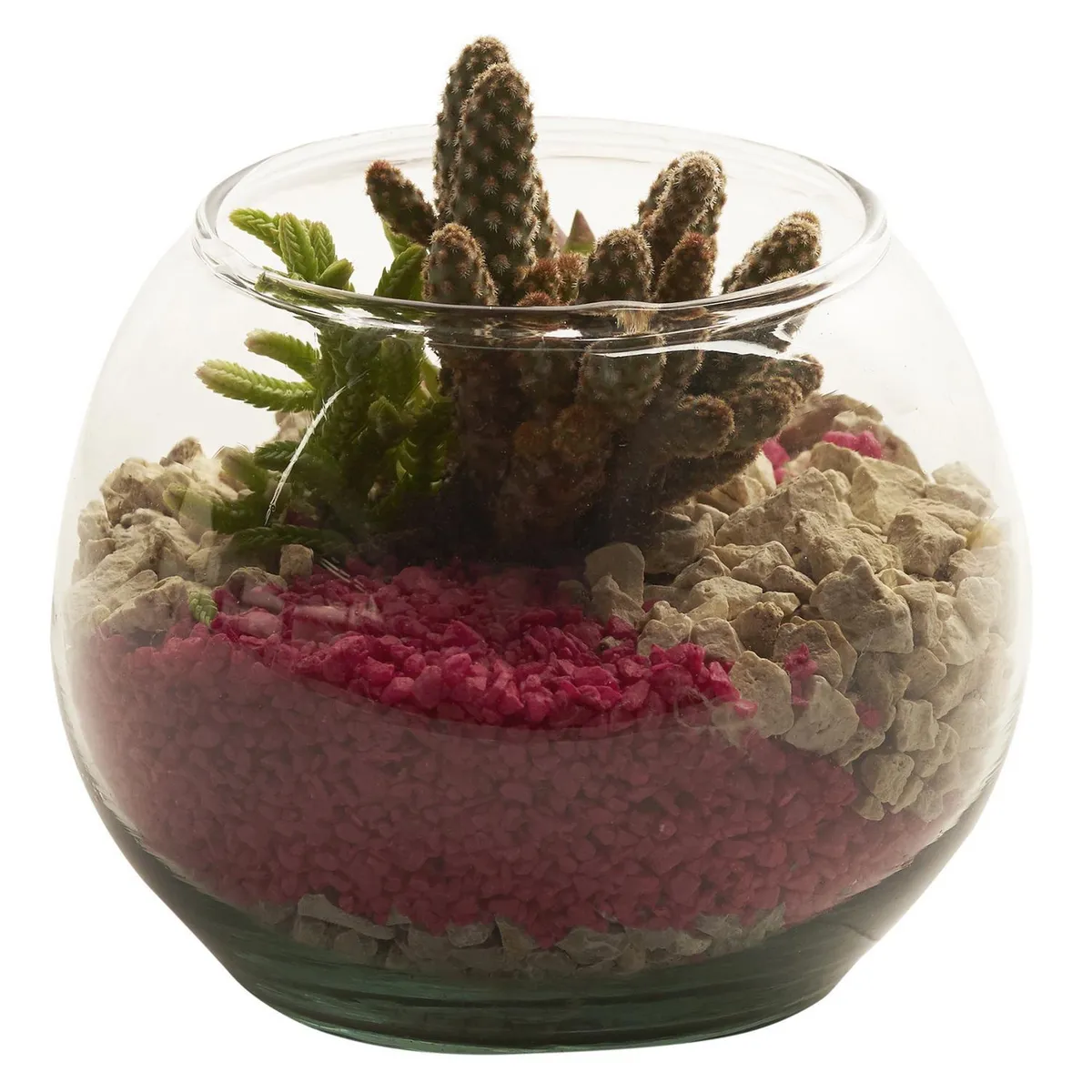 GENERICO -  Natural CT8