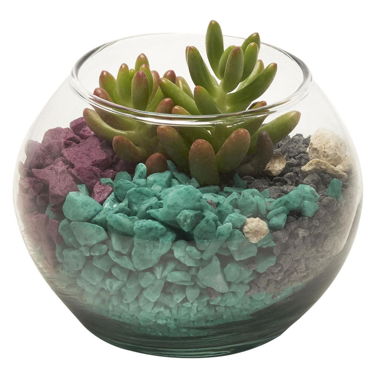 GENERICO -  Natural CT10