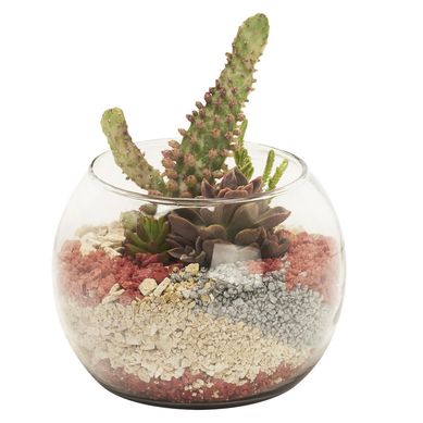 Terrario Mediano M-S