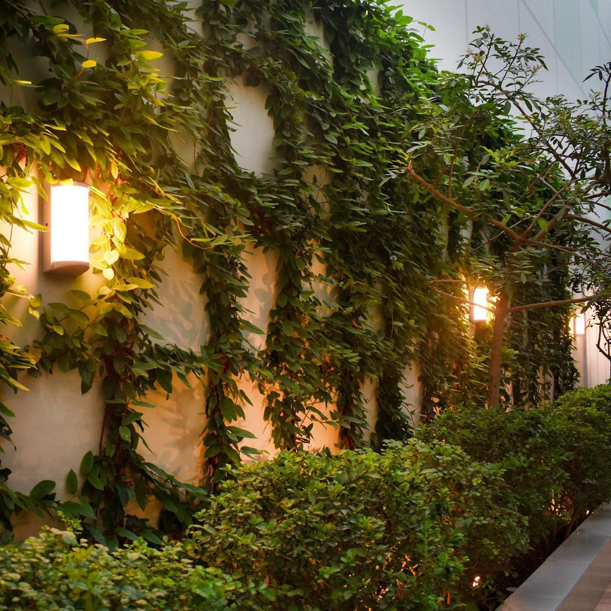 LIGHTECH - Braquete De Pared Exterior Led 30W Ip65 Blanco Luz Cálida