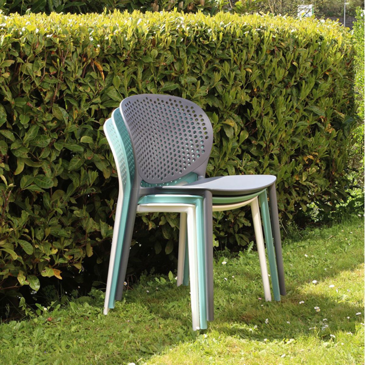 ZIYAZ - Silla de Comedor Pongo Grafito