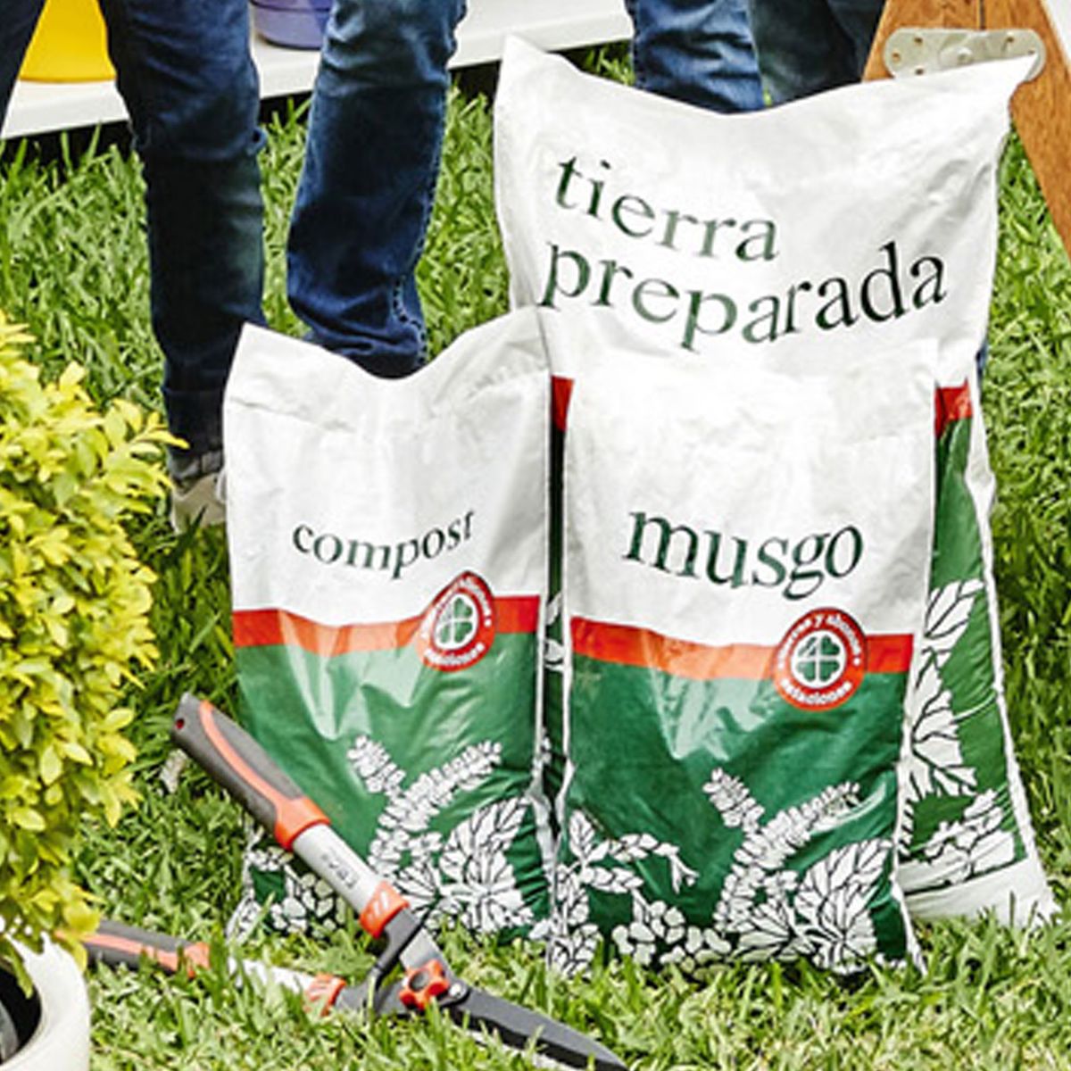 GENERICO - Musgo Grande 3kg Vivero 4 Estaciones
