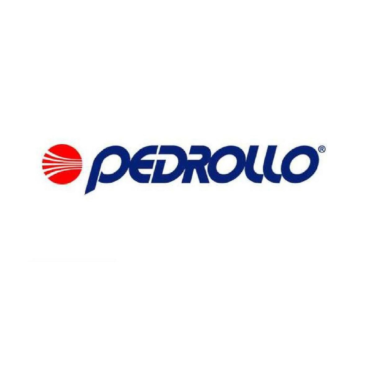 PEDROLLO - Electrobomba Sumergible Pedrollo 1 HP 130 L/min