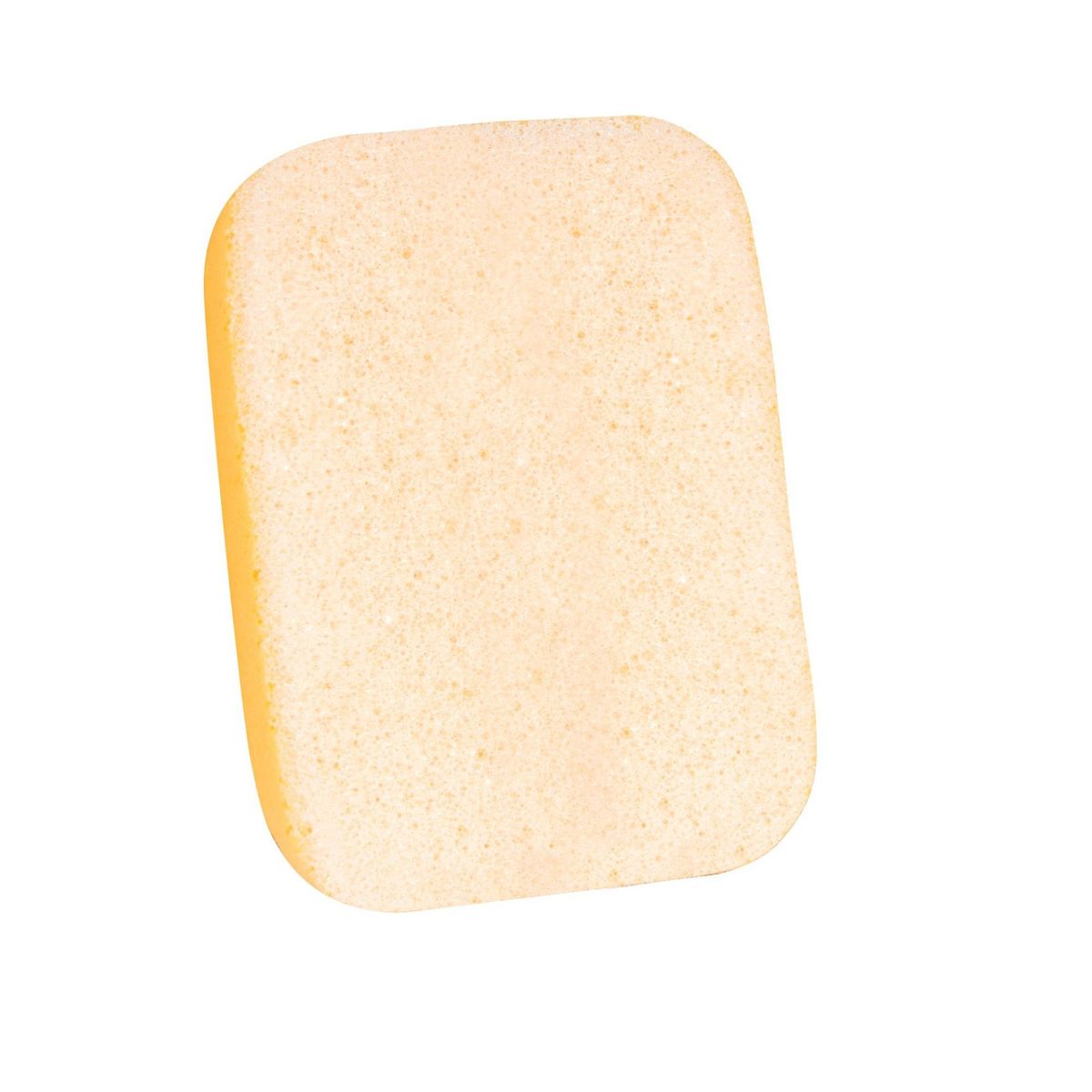 BRUTUS - Esponja Doble Uso Brutus