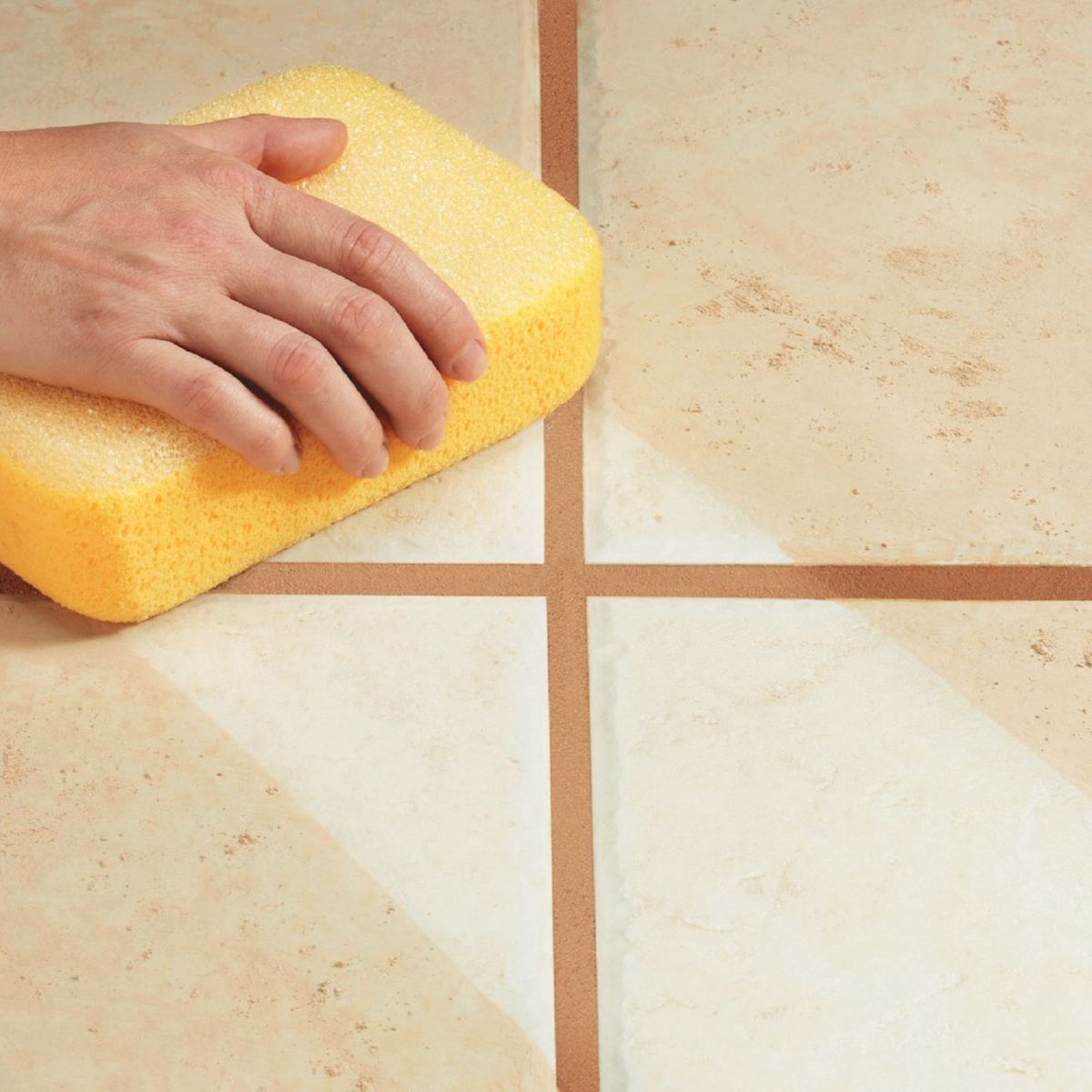 BRUTUS - Esponja Doble Uso Brutus