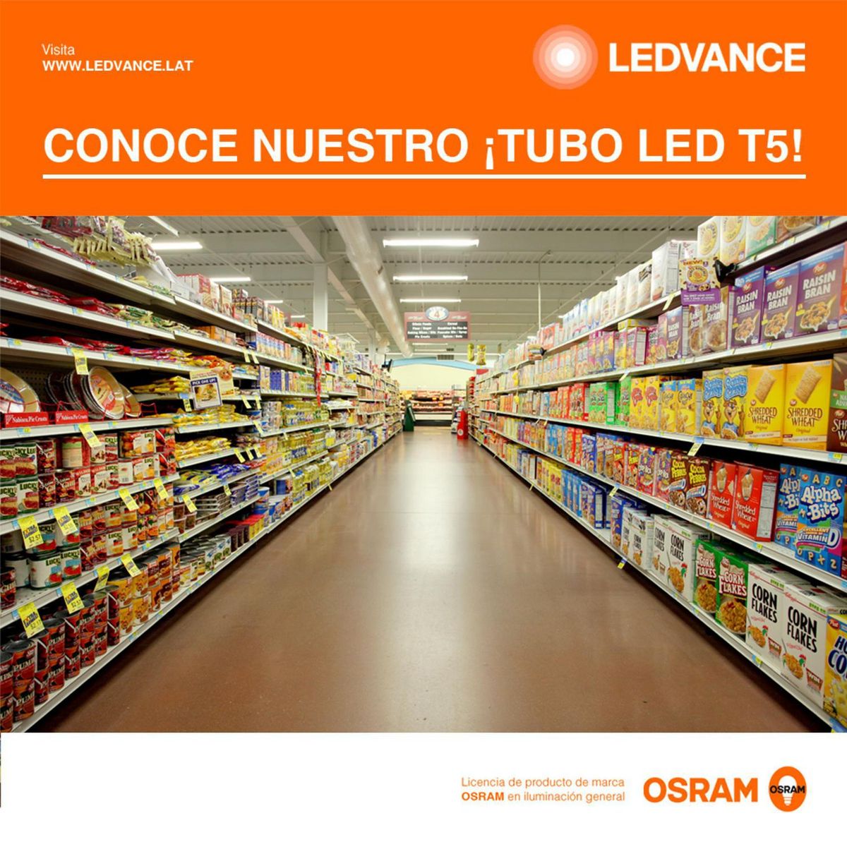 OSRAM - Tubo Fluorescente LED T5 26w Luz Fría G5