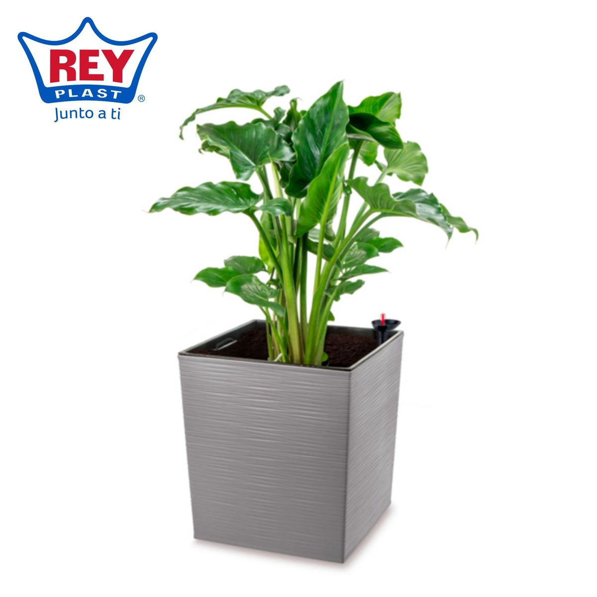 REYPLAST - Maceta de piedra 40 cm gris con sistema de riego