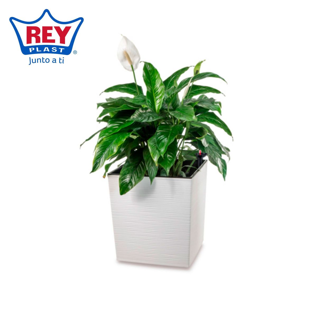 Maceta Piedra con Riego Blanco 40cm, marca Reyplast - Foto Principal