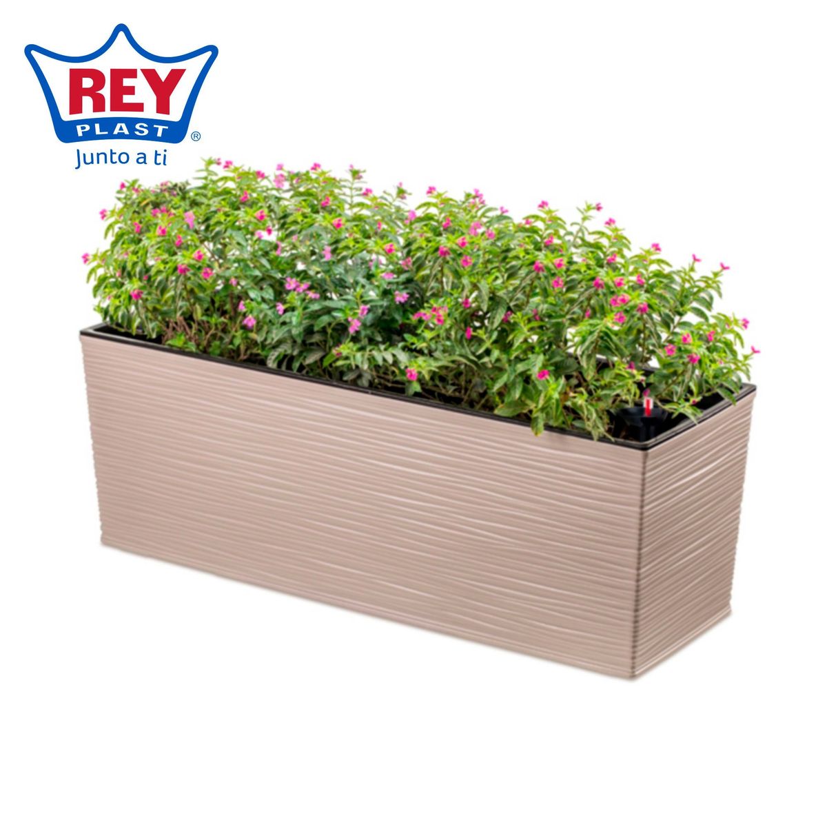 REYPLAST - Maceta Piedra con Riego Taupe 56x19cm