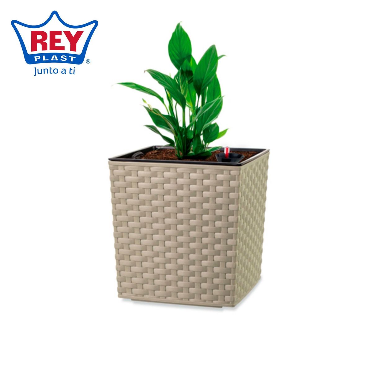 REYPLAST - Maceta de ratán 19 cm cappuccino con sistema de riego
