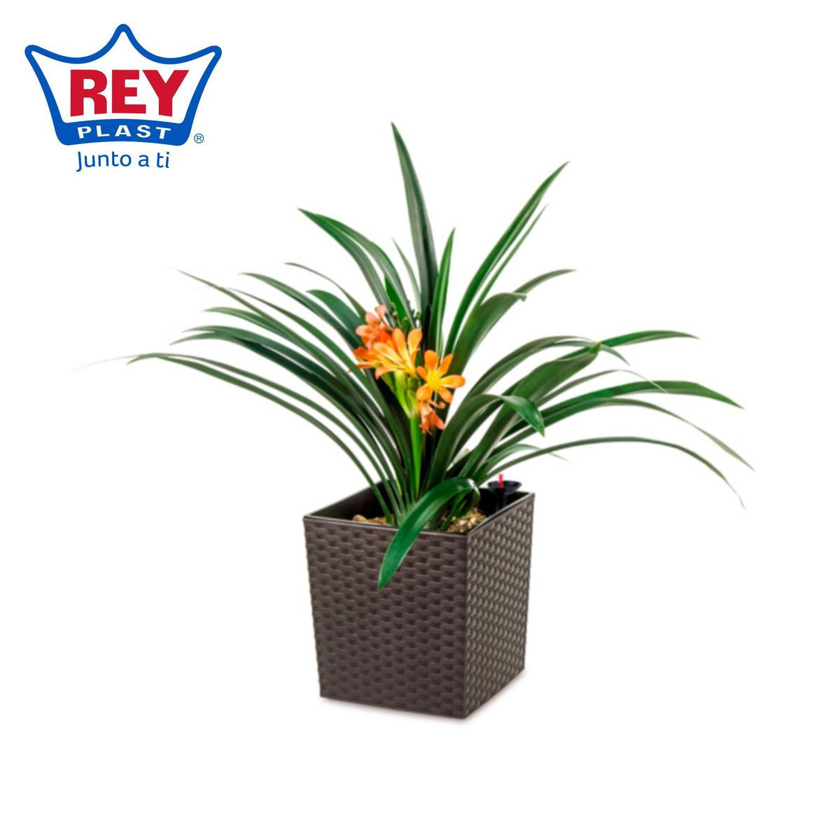 REYPLAST - Maceta de ratán 25 cm marrón con sistema de riego