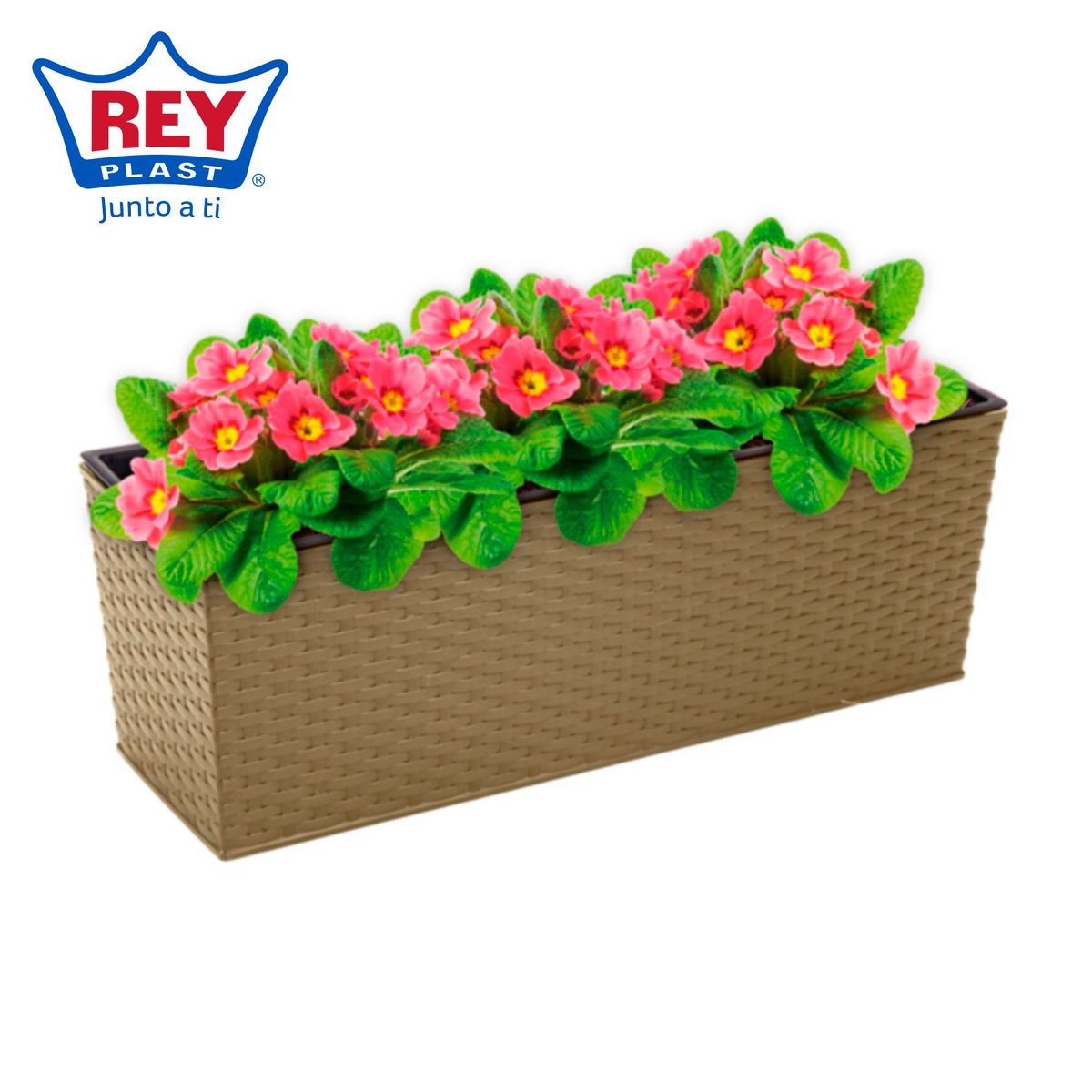 REYPLAST - Maceta Ratan con Riego Capuccino 19x19.5x